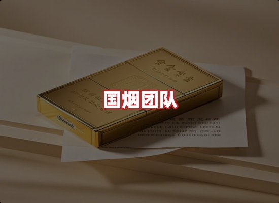 国烟团队